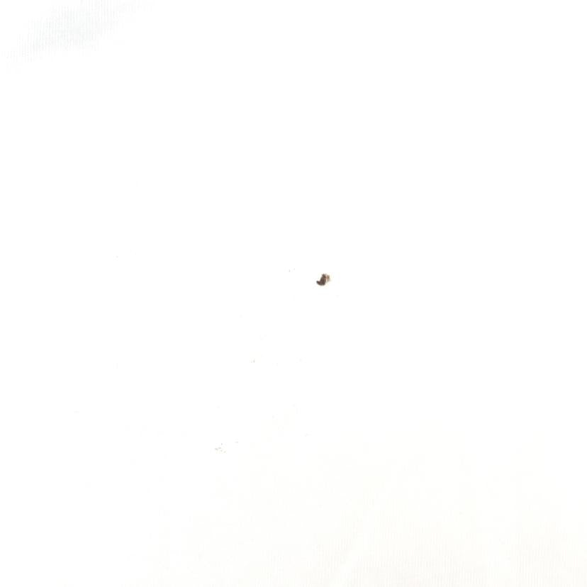 PRADA プラダ/Tシャツ//ABランク/75