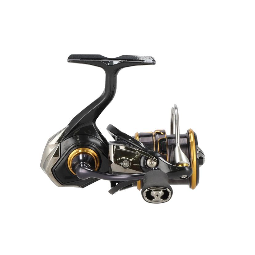 DAIWA ダイワ/21CALDIA LT2500S/LT2500S//Aランク/22