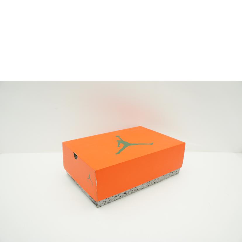 NIKE ナイキ/AIR JORDAN 6 RETRO オレンジ/384664 145//ABランク/42
