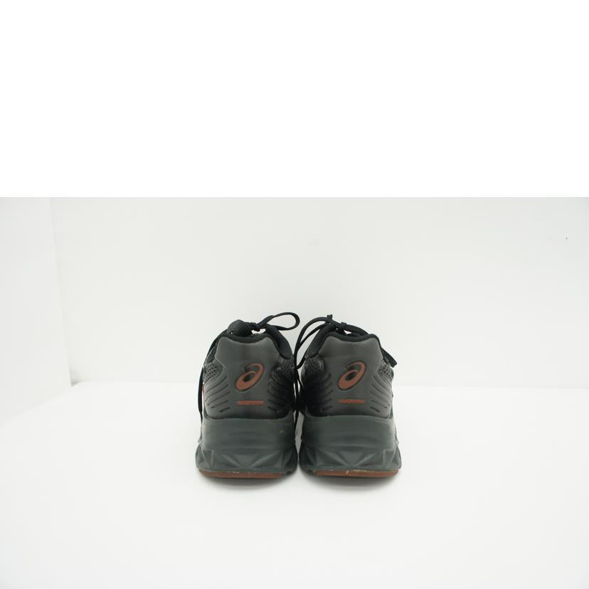 asics アシックス/HN2-S PROTOBLAST/1201A246//ABランク/05