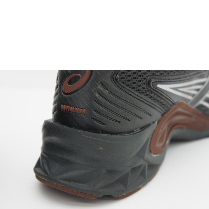 asics アシックス/HN2-S PROTOBLAST/1201A246//ABランク/05