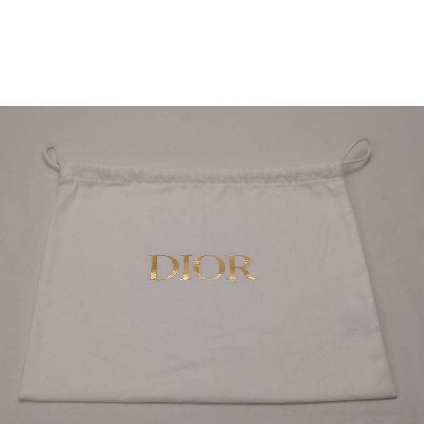 Christian Dior クリスチャンディオール/オーバル カメラバッグ//Aランク/52