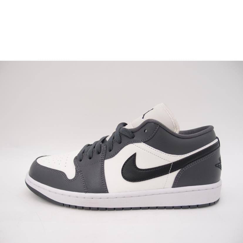 NIKE ナイキ/NIKE JORDAN/DC0774-102//Aランク/69