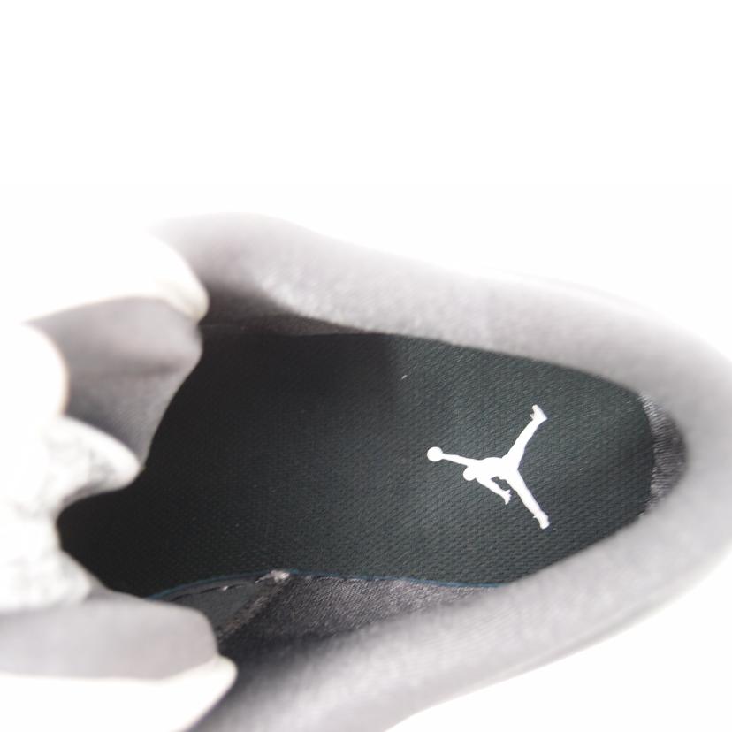 NIKE ナイキ/NIKE JORDAN/DC0774-102//Aランク/69