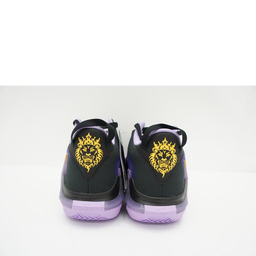 NIKE ナイキ/レブロンウィットネスVII/DM1123-002//SAランク/09