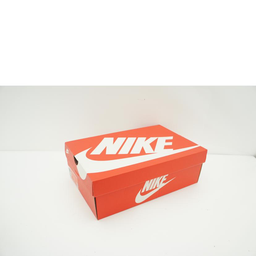 NIKE ナイキ/DUNK HI RETRO SE/DZ2535-100//SAランク/09