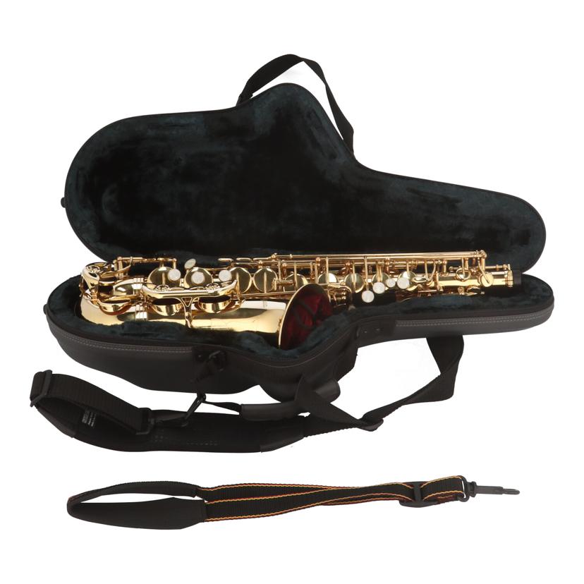 Antigua アンティグア/アルトサックス/G L//LA6035151/Bランク/64