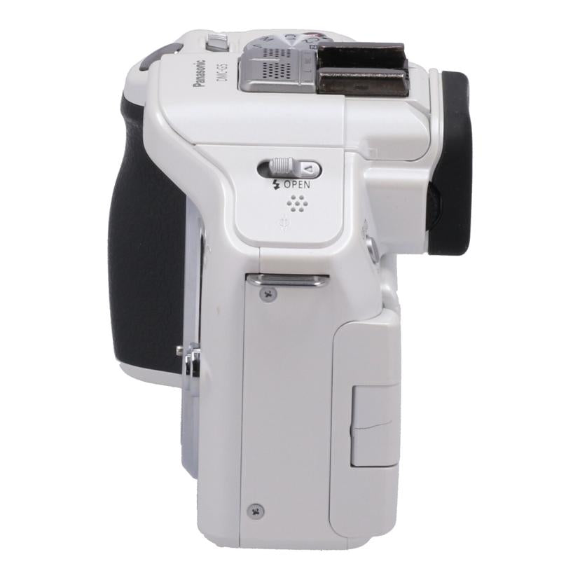 Panasonic パナソニック /ミラーレス一眼 ボディ/DMC-G5 ボディ//WE2HA005018/BCランク/69