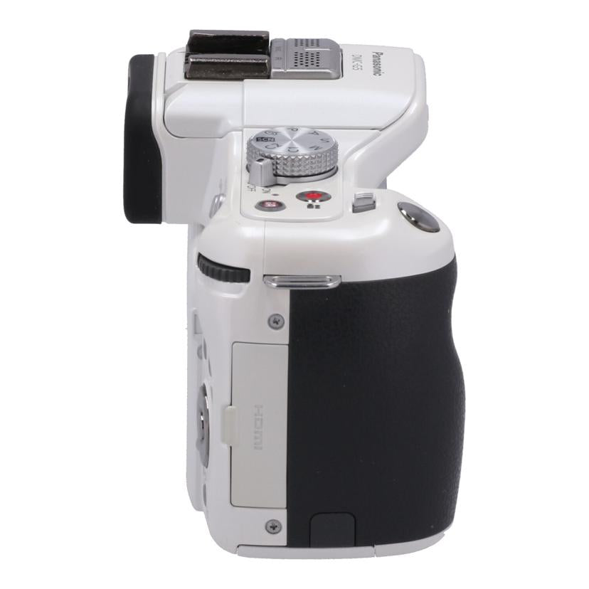 Panasonic パナソニック /ミラーレス一眼 ボディ/DMC-G5 ボディ//WE2HA005018/BCランク/69