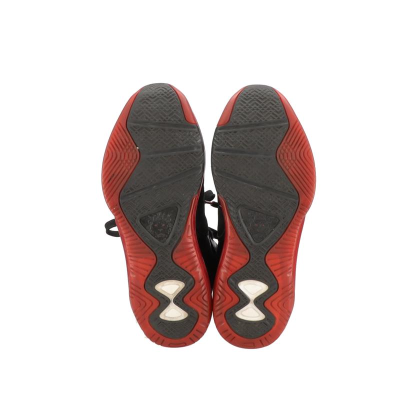 NIKE ナイキ/LEBRON 8 BRED 黒×赤/417098 002//Bランク/42