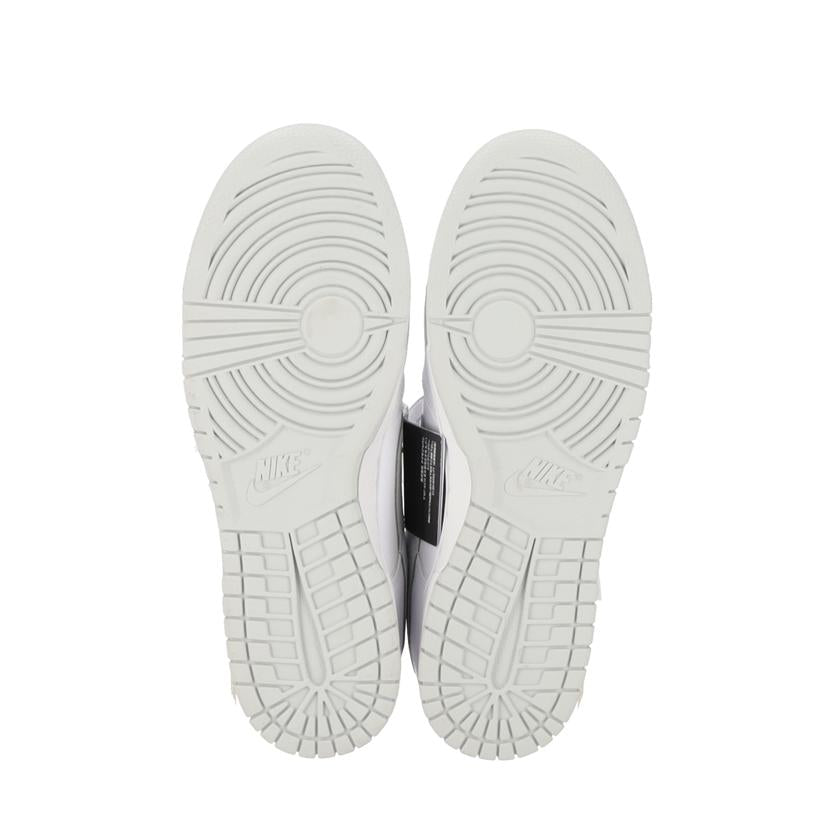 NIKE ナイキ/NIKE DUNK LOW RETRO/DV0831-101//Sランク/05