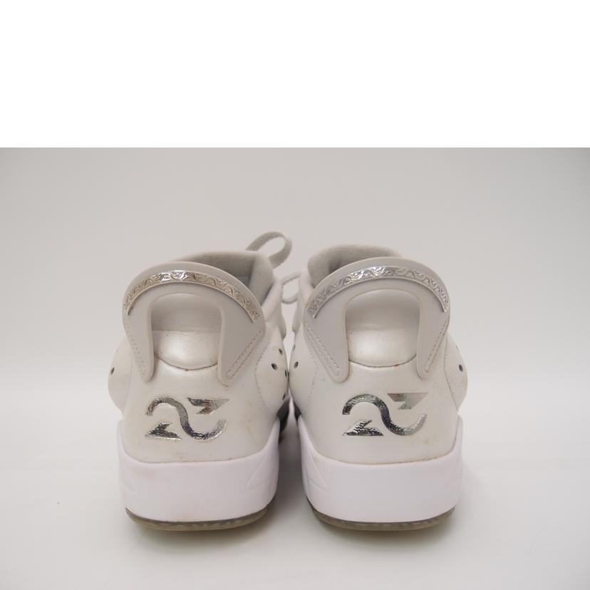 NIKE ナイキ/NIKE JORDAN RETRO 6GNRG//Aランク/69