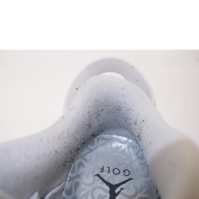 NIKE ナイキ/NIKE JORDAN RETRO 6GNRG//Aランク/69