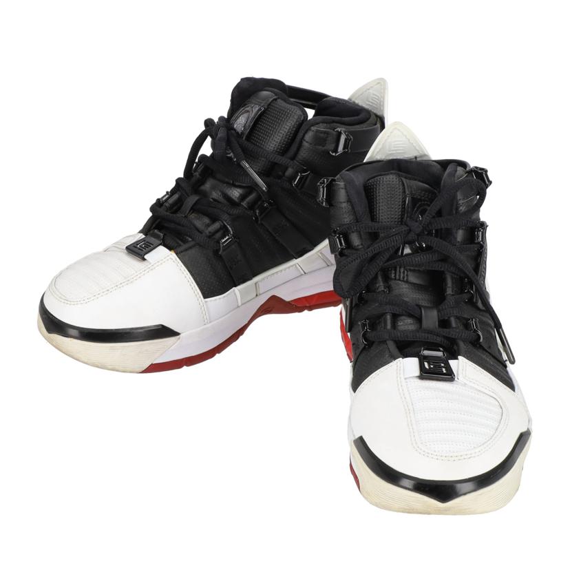 NIKE ナイキ/ZOOM LEBRON3 QS/AO2434-101//ABランク/09