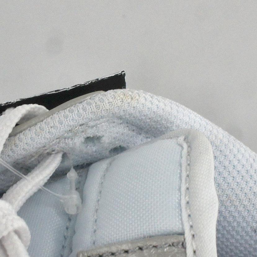 NIKE ナイキ/NIKE DUNK LOW SE 26.5/DX3197-095//Aランク/67