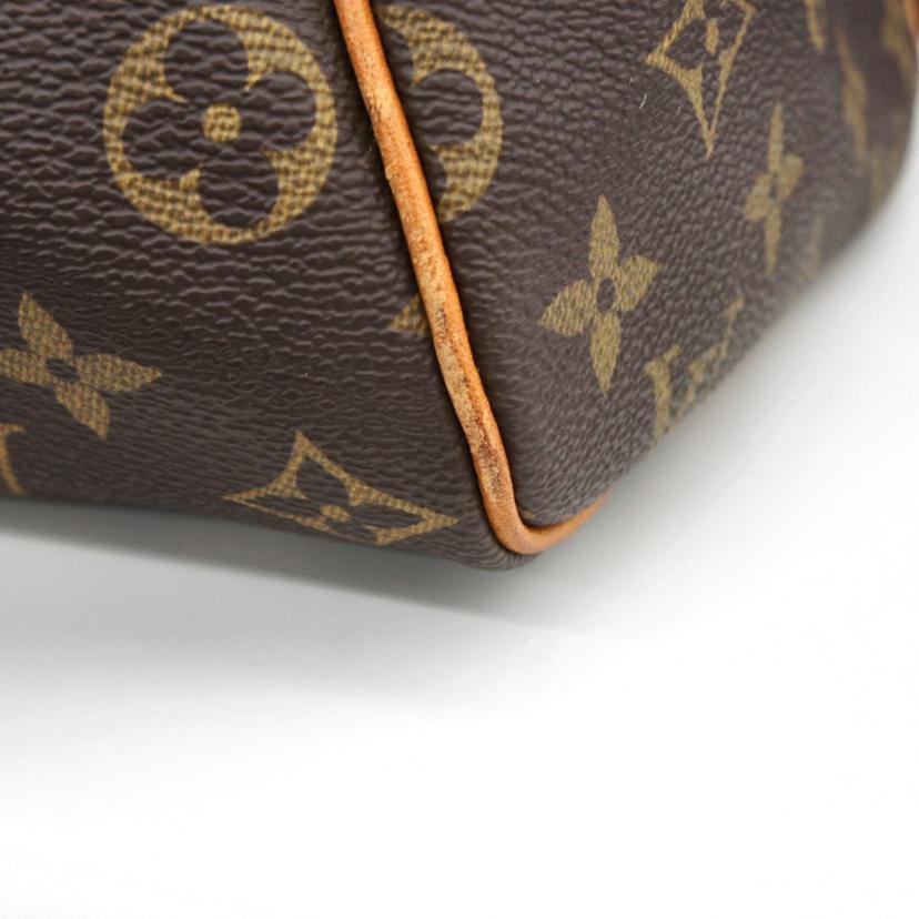 LOUIS VUITTON ルイ・ヴィトン/フラネリーGM/モノグラム/M51115//NO0***/ABランク/93