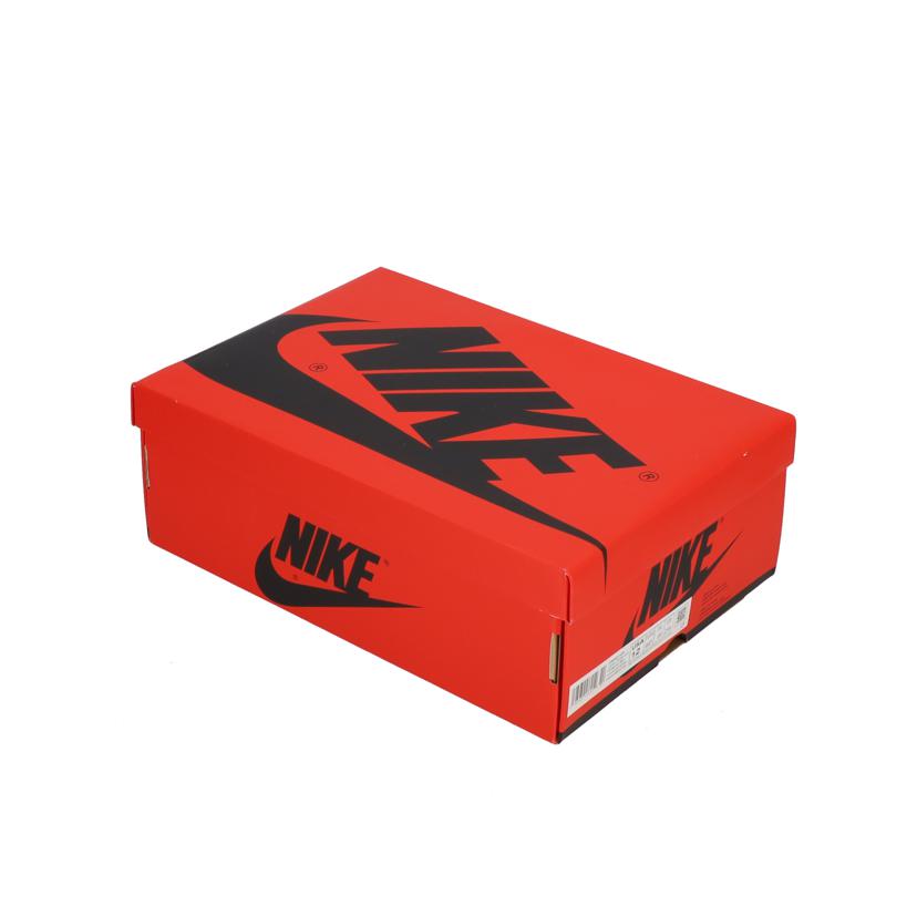 NIKE ナイキ/NIKE WMNS AIR JORDAN 1 RETRO HIGH OG 29.0/FD4810-061//SAランク/67