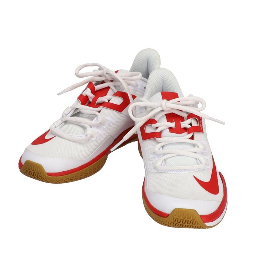 nike NIKE/court vapor lite hc/DC3431-188//Bランク/78
