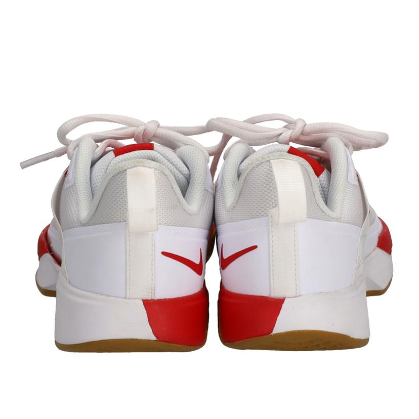 nike NIKE/court vapor lite hc/DC3431-188//Bランク/78