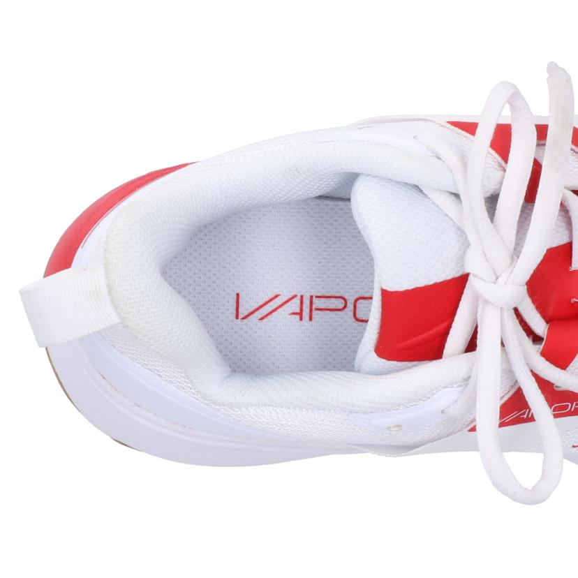 nike NIKE/court vapor lite hc/DC3431-188//Bランク/78