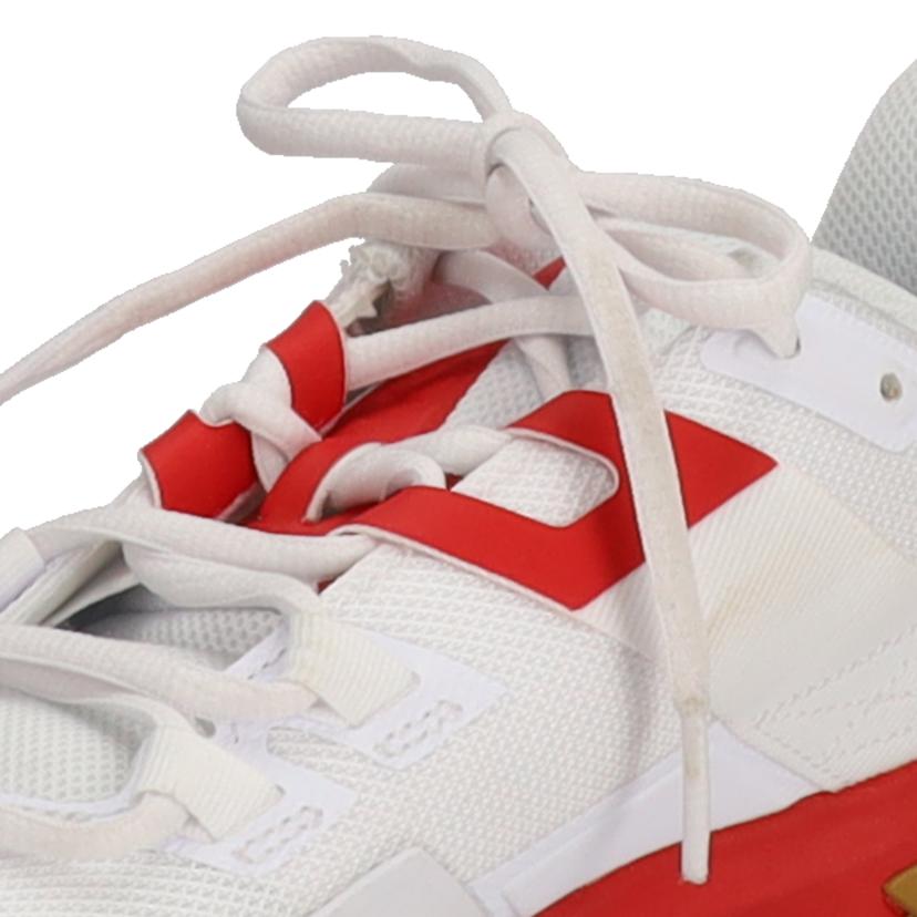 nike NIKE/court vapor lite hc/DC3431-188//Bランク/78