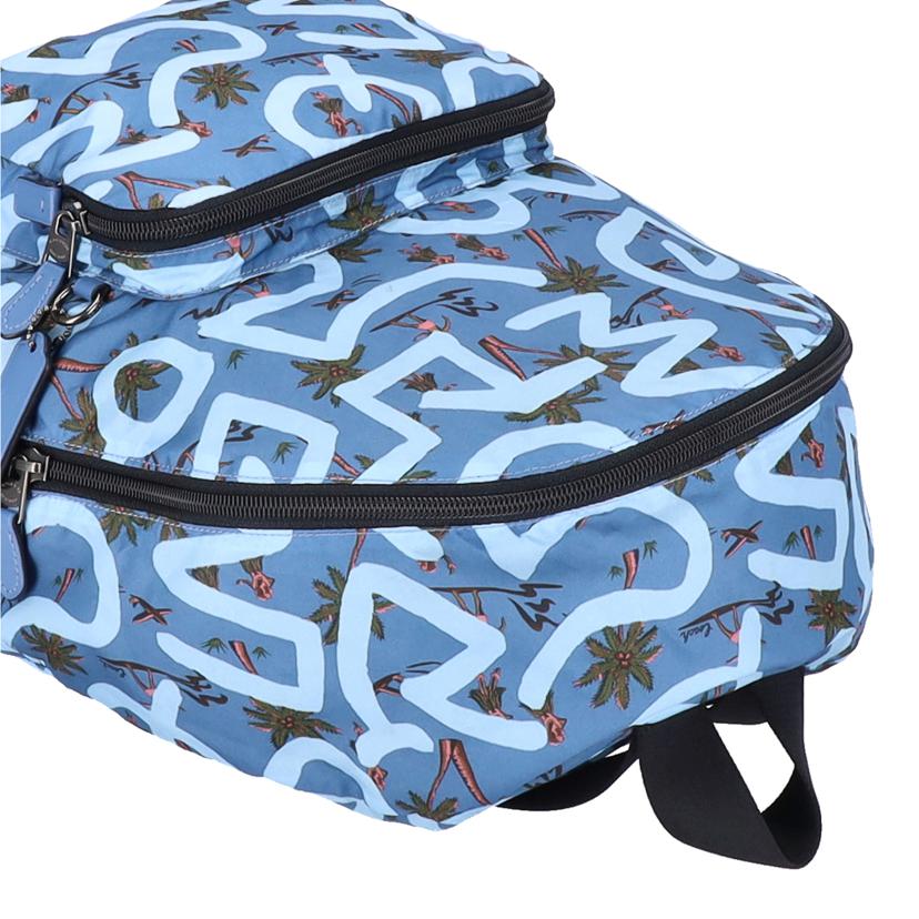 COACH/キースヘリング/ハワイアン パッカブル/リュック・デイパック/F67409//L18**/ABランク/78