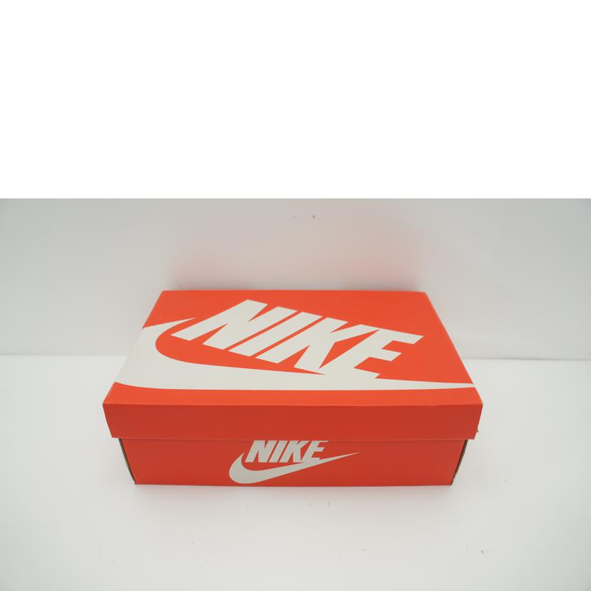 NIKE ナイキ/AIR FLIGHT LITE MID/FJ2949-001//Aランク/09