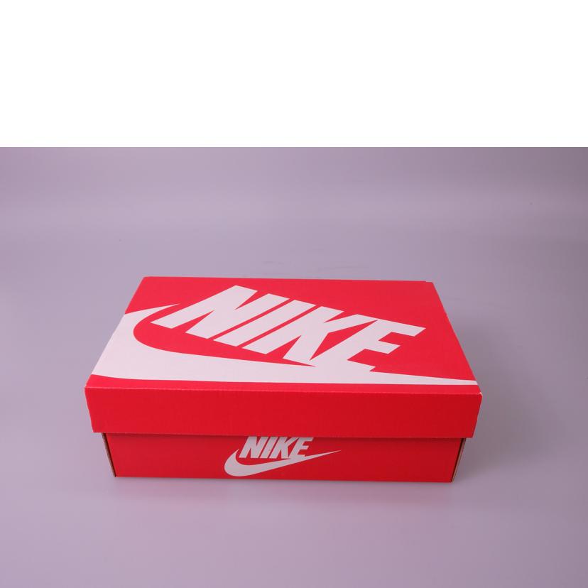 NIKE ナイキ/INTERNATIONALIST /828407-003//Sランク/76