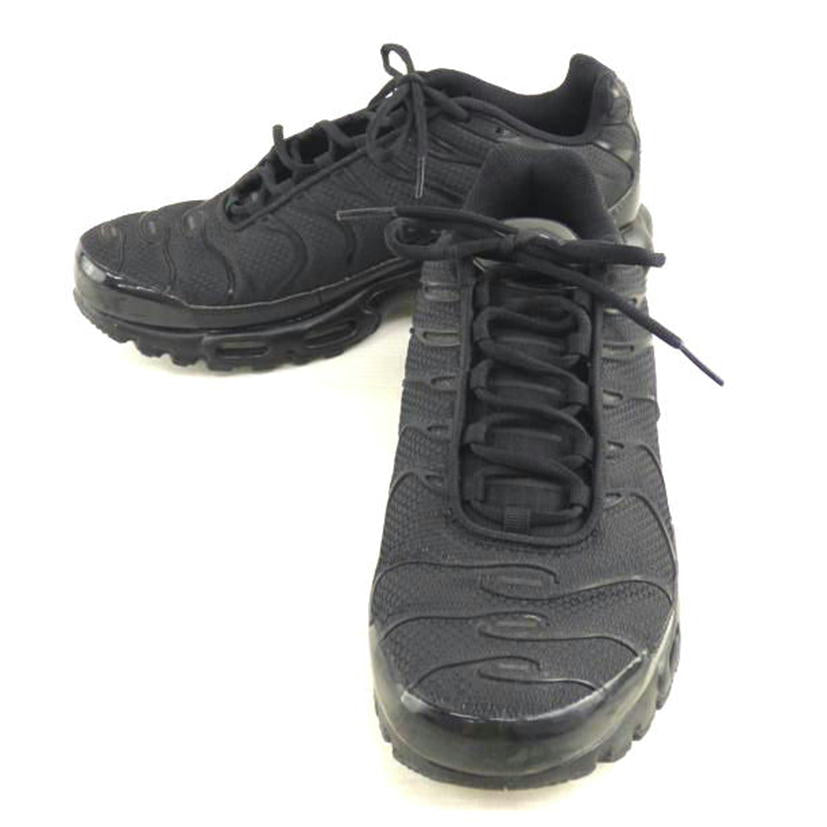 NIKE ナイキ/AIR MAX PLUS/604133-050//ABランク/64
