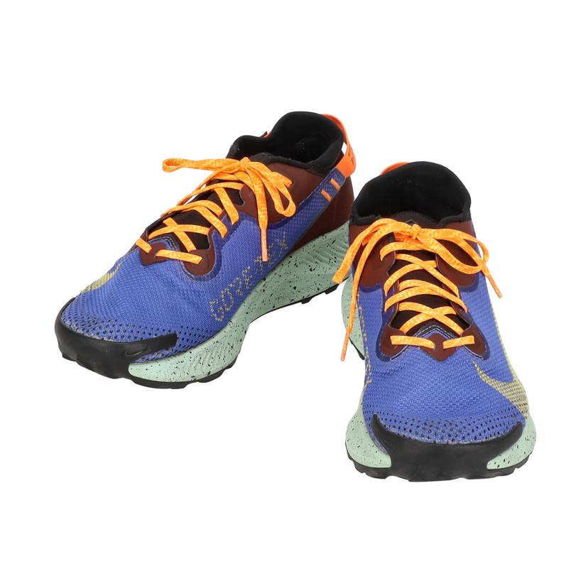 NIKE ナイキ/ペガサストレイル2GTX/CU2016-600//Aランク/09