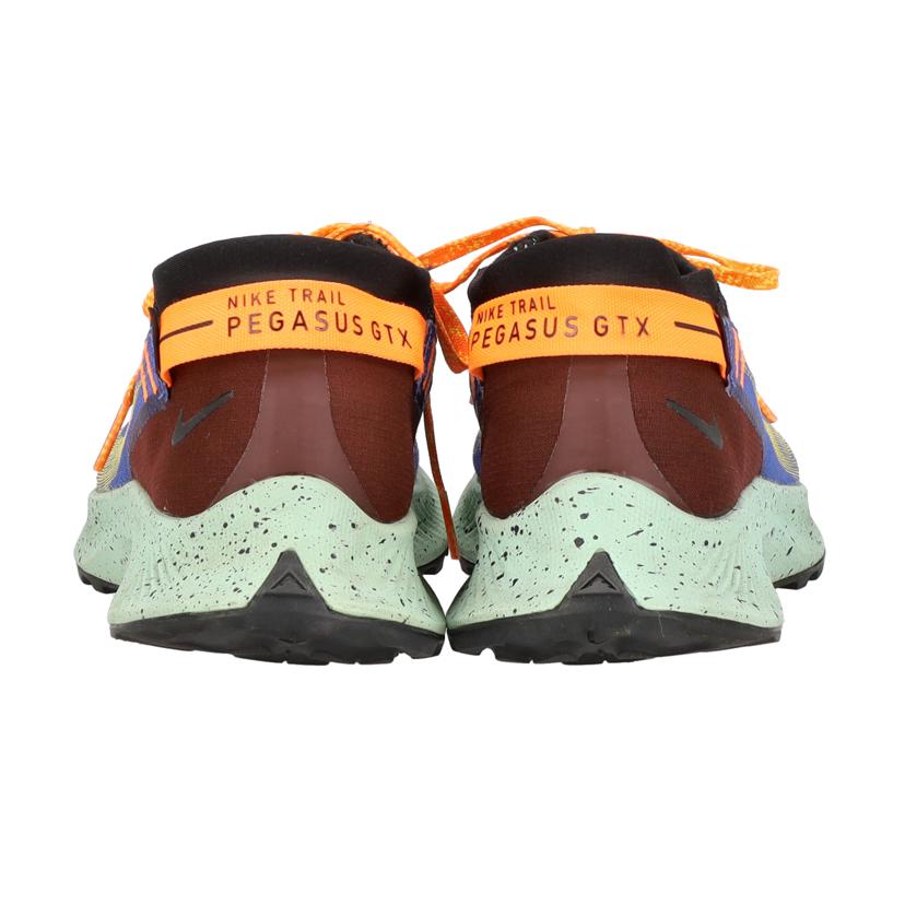 NIKE ナイキ/ペガサストレイル2GTX/CU2016-600//Aランク/09