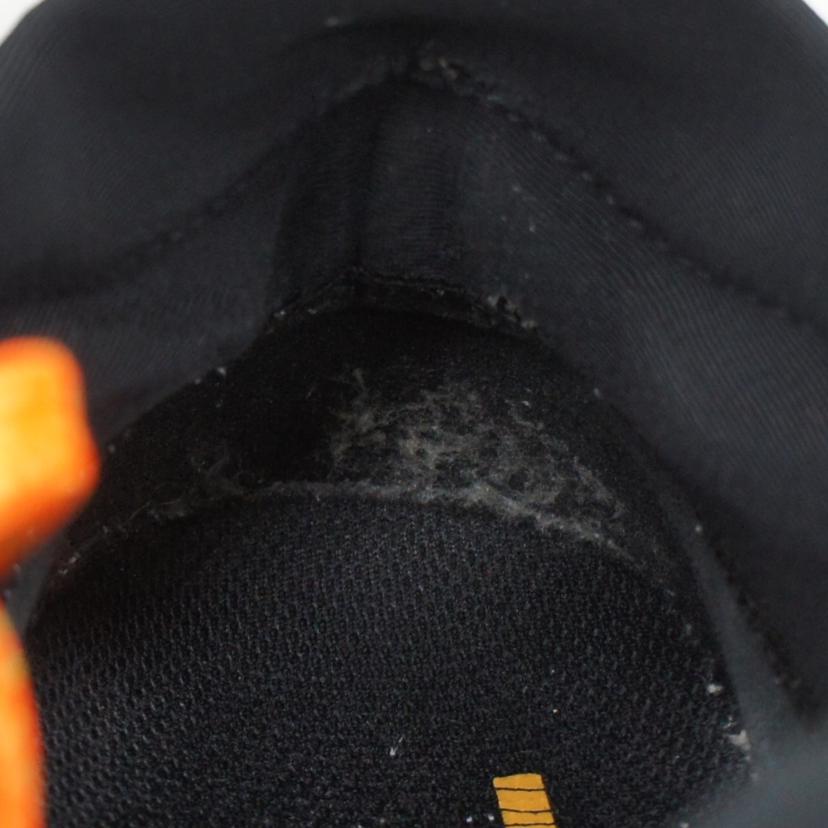 NIKE ナイキ/ペガサストレイル2GTX/CU2016-600//Aランク/09