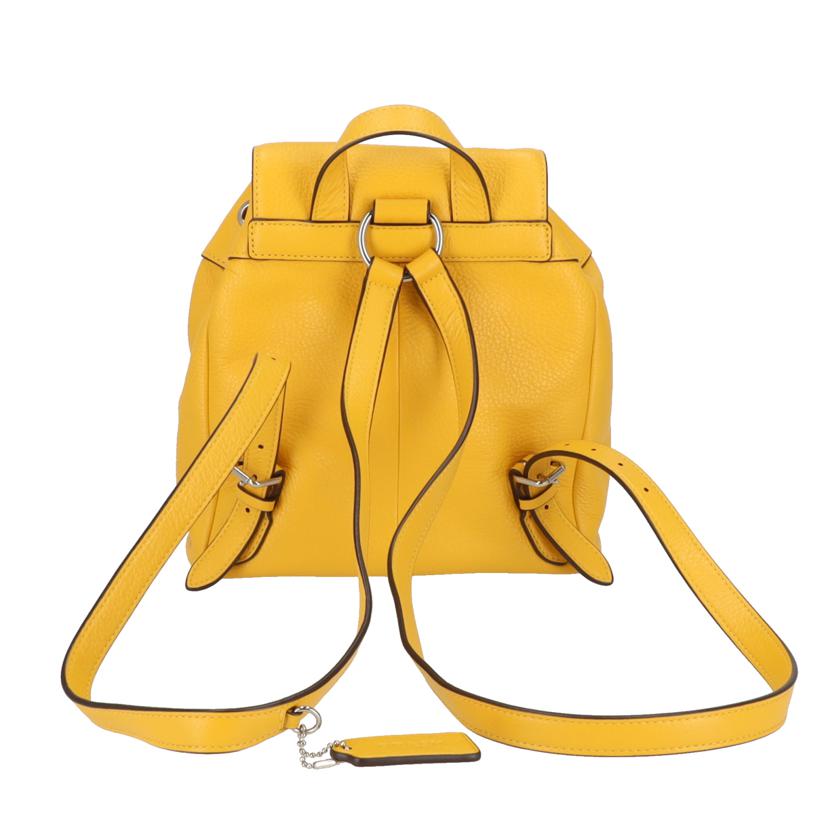 COACH コーチ/レザー/ビリーペブルドレザー/ミニリュック/F37621//M17**/ABランク/78