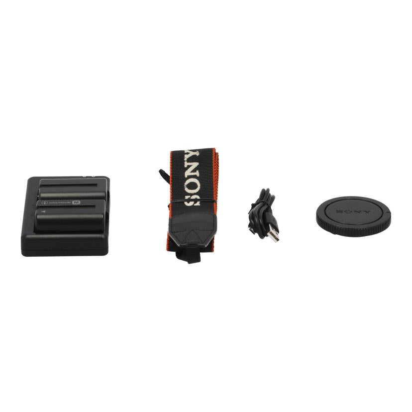 SONY ソニー/デジタル一眼ボディ/α77/SLT-A77V//0747803/Bランク/62