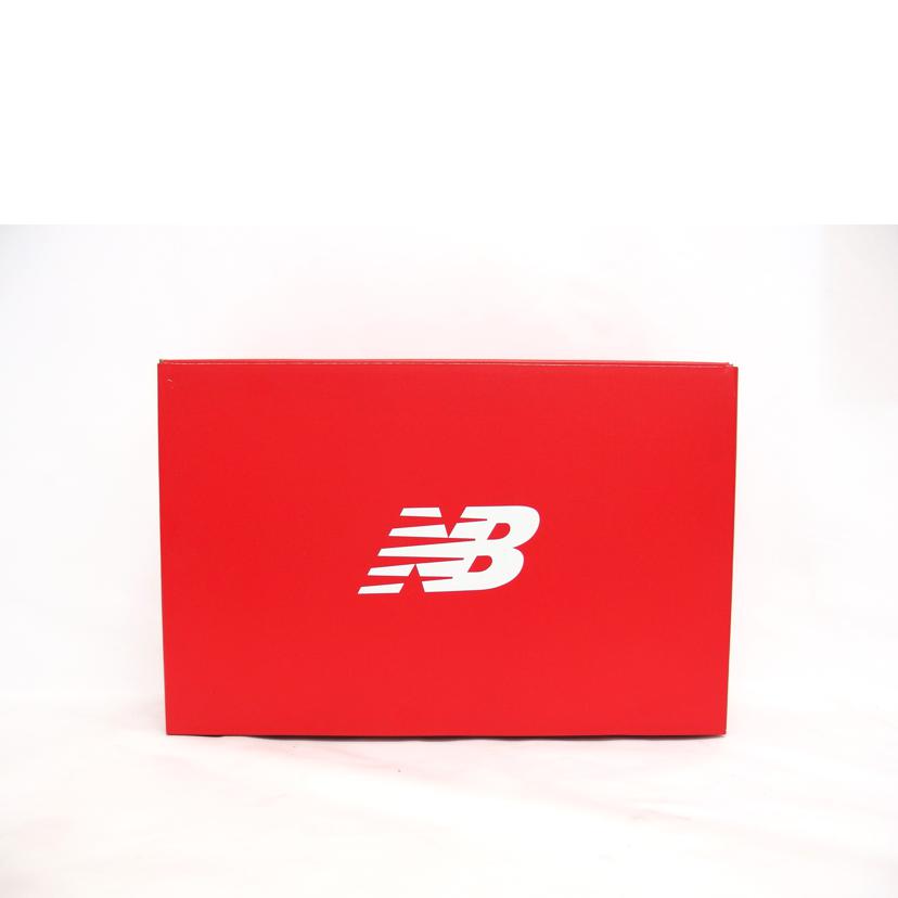 NEW BALANCE ニューバランス/ローカットスニーカー/BS-118//SAランク/04