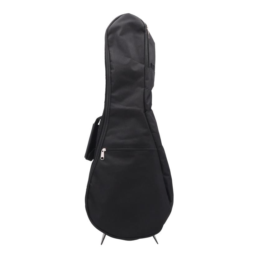 Eastman イーストマン/ テナー ウクレレ/EU-3T //M2023700/Aランク/77