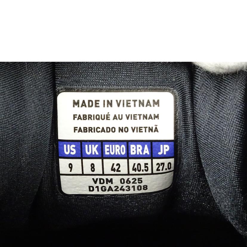 MIZUNO ミズノ/WAVERIDER10/D1GA243108//Aランク/69