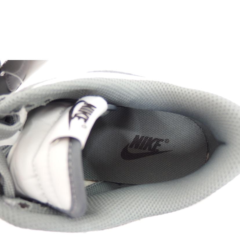 NIKE/DUNK LOW RETRO SE/グレー/IB6399-001//27/ABランク/82