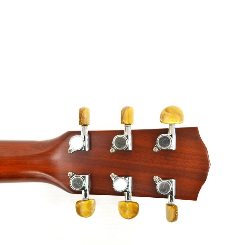 fender フェンダー /アコースティックギター/DG-25S//ABランク/75