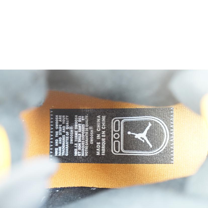 NIKE ナイキ/NIKE WMS AIR JORDAN1 ACCLIMATE 29.0 /DC7723-701//Aランク/67