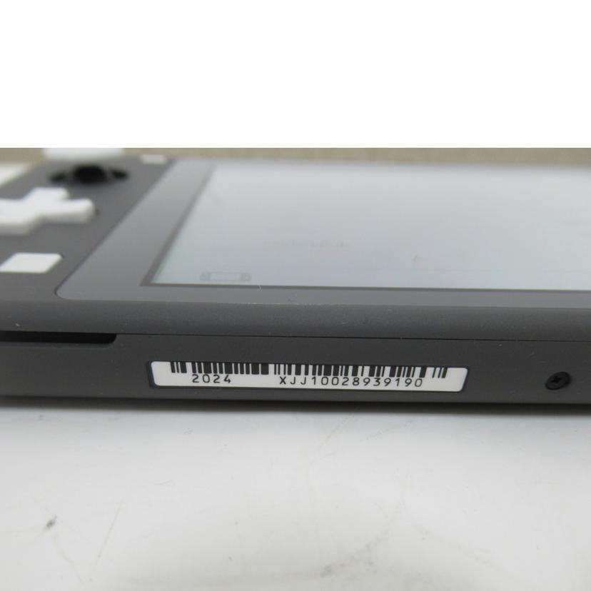 Nintendo/SwitchLite/HDH-S-GAZAA//SAランク/63