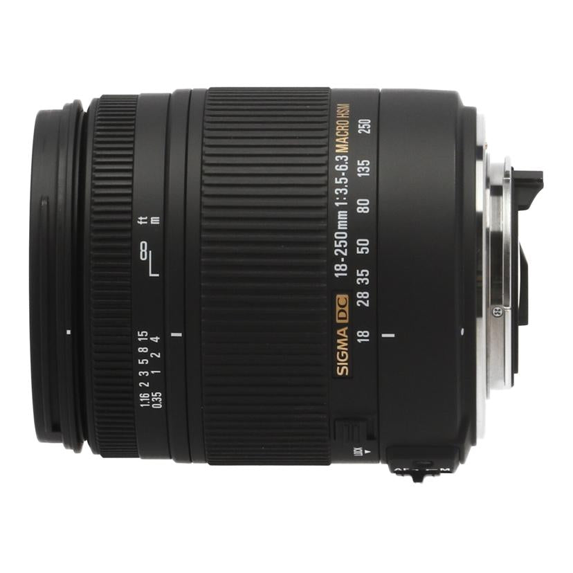 SIGMA Pentax シグマ /交換レンズ/18-250mm/18-250mm F3.5-6.3 DC MACRO HSM//13965372/Bランク/62