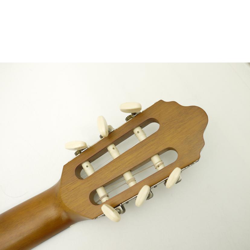 Valencia ヴァレンシア/アコースティックギター/VC204//477042/ABランク/69