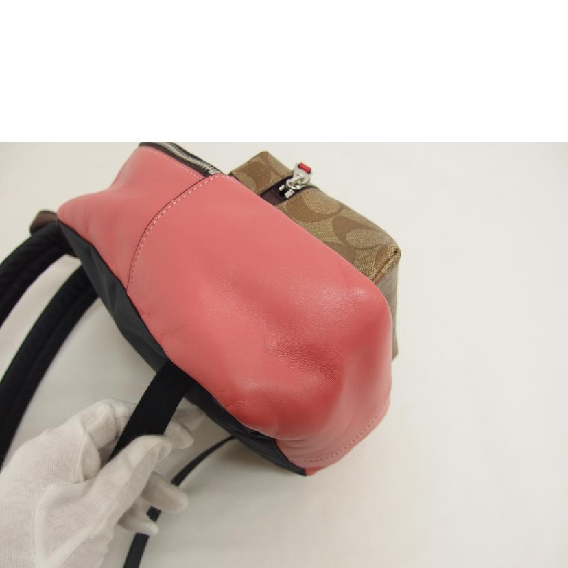 COACH コーチ/シグネチャー/チェリーワッペンPVC×レザー/ミニリュック/F31933//D18**/Aランク/04