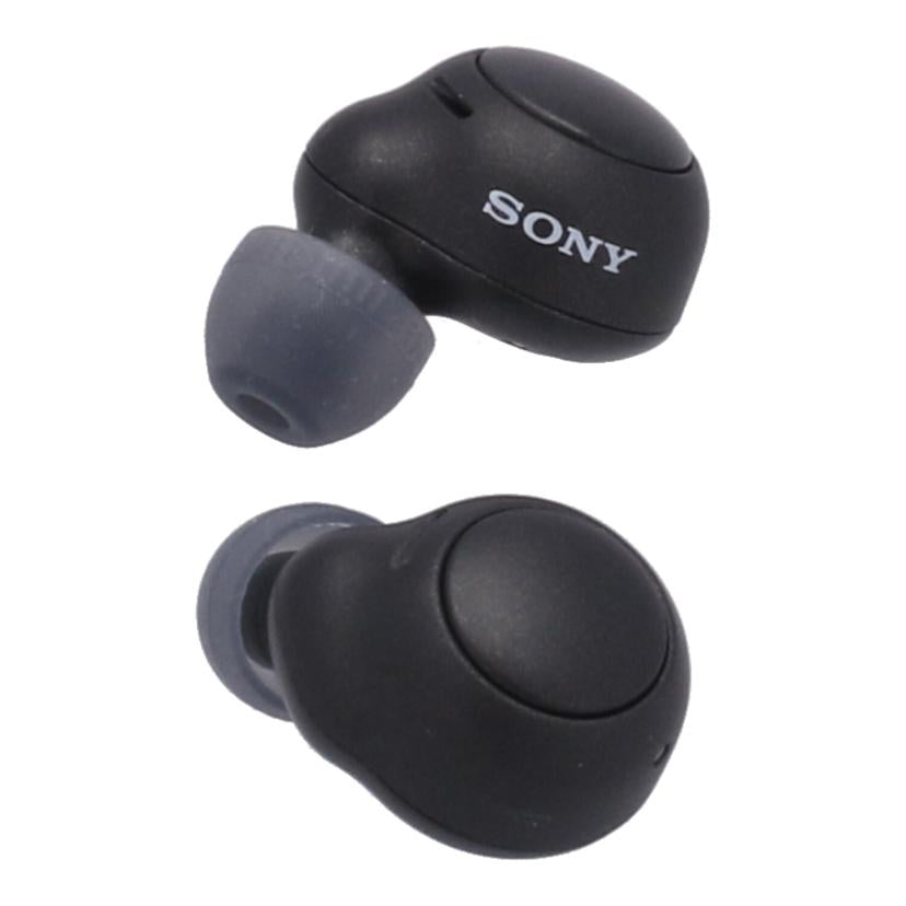 SONY ソニー /ワイヤレスイヤホン/WF-C500//S011137390A/Aランク/01