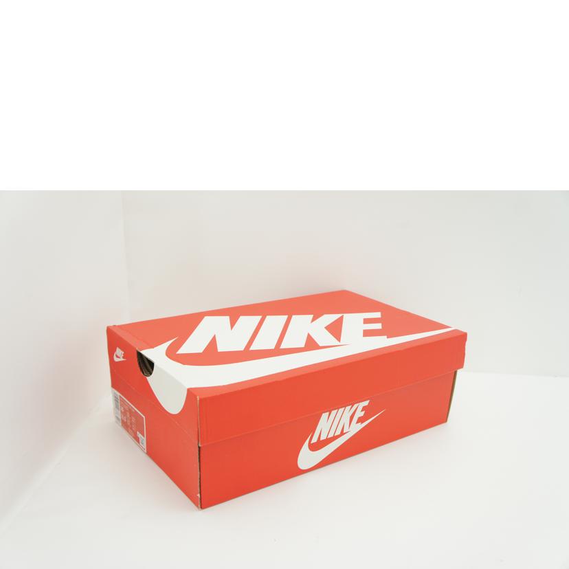 NIKE ナイキ/TERMINATOR LOW/FQ8748-412//Aランク/09