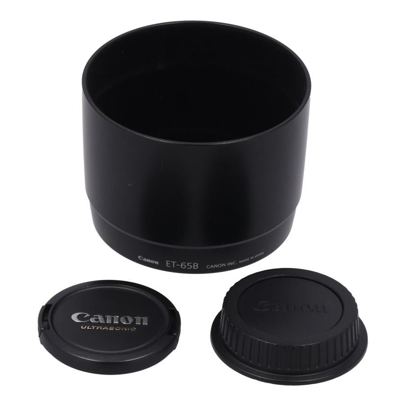 Canon キヤノン/交換レンズ/70-300mmDO/EF70-300mm F4.5-5.6 DO IS USM//04400359/Bランク/77