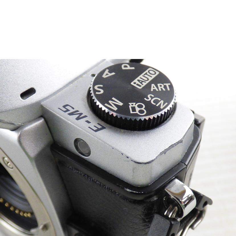 OLYMPUS オリンパス/ミラーレス一眼/OM-D EM-5//BF2505163/BCランク/64