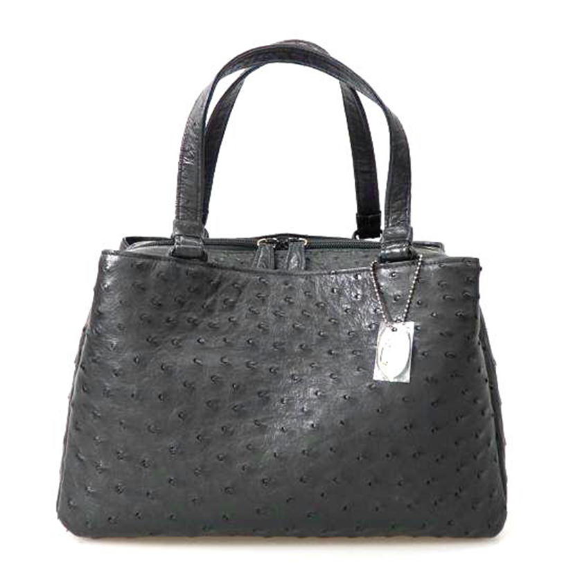 /オーストリッチハンドバッグ//Aランク/76