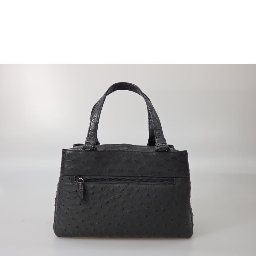 /オーストリッチハンドバッグ//Aランク/76